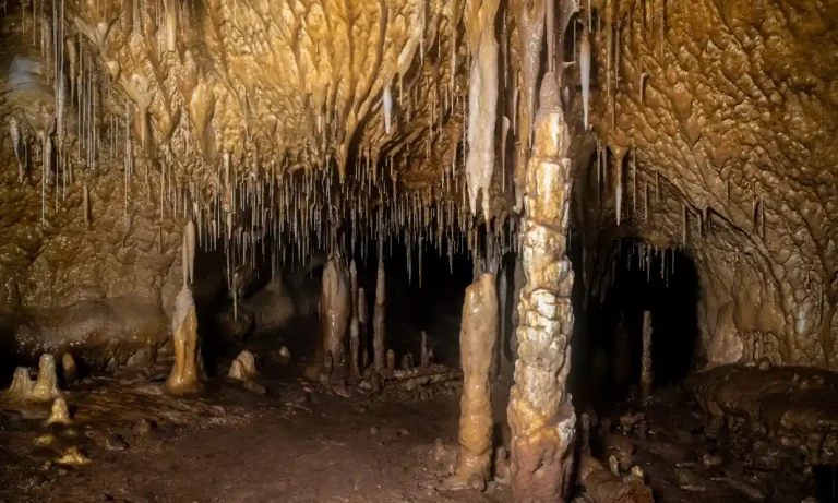 Bear-Clawed Cavern In Spain Creating Waves Among Researchers