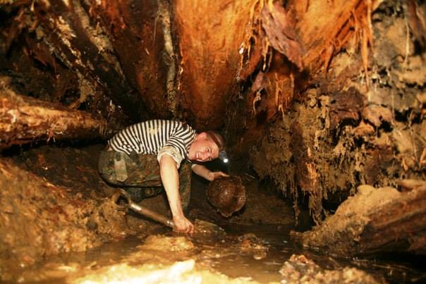 Eastern Front Battlefield: Relics from Russian Bunkers, Lakes & Forests