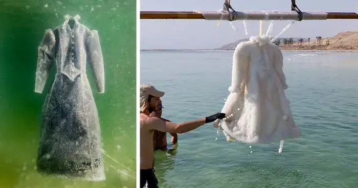 Artist Leaves Dress In The Dead Sea For 2 Months And It Turns Into Glittering Salt Crystal Masterpiece