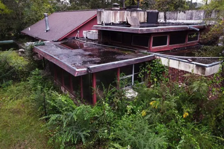 This Abandoned Mid-Century House Was Rescued From Ruin