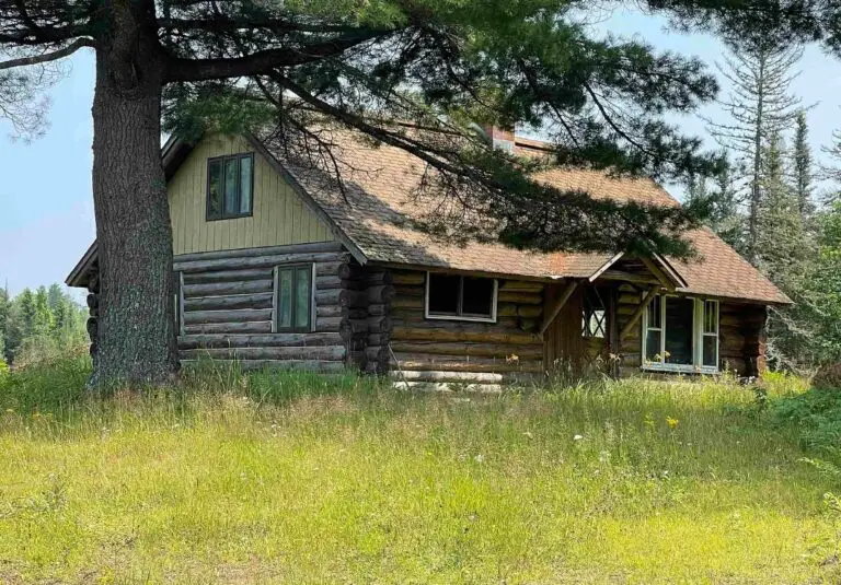 Rare 100-Acre Property in Covington For $275,000!