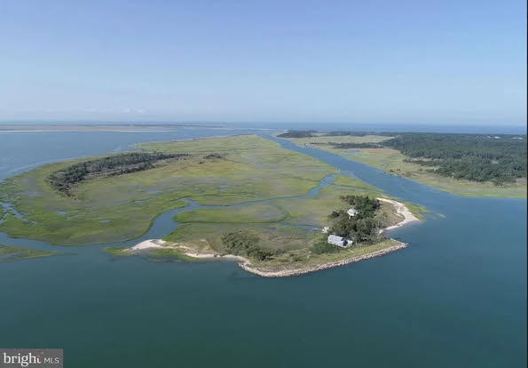 Island time! Holly Bluff Island, 183 acres in Virginia. $1,795,000