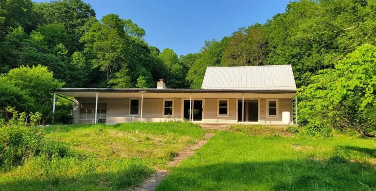 Herbal Medicine Farm, 85 acres in Ohio. $560,000