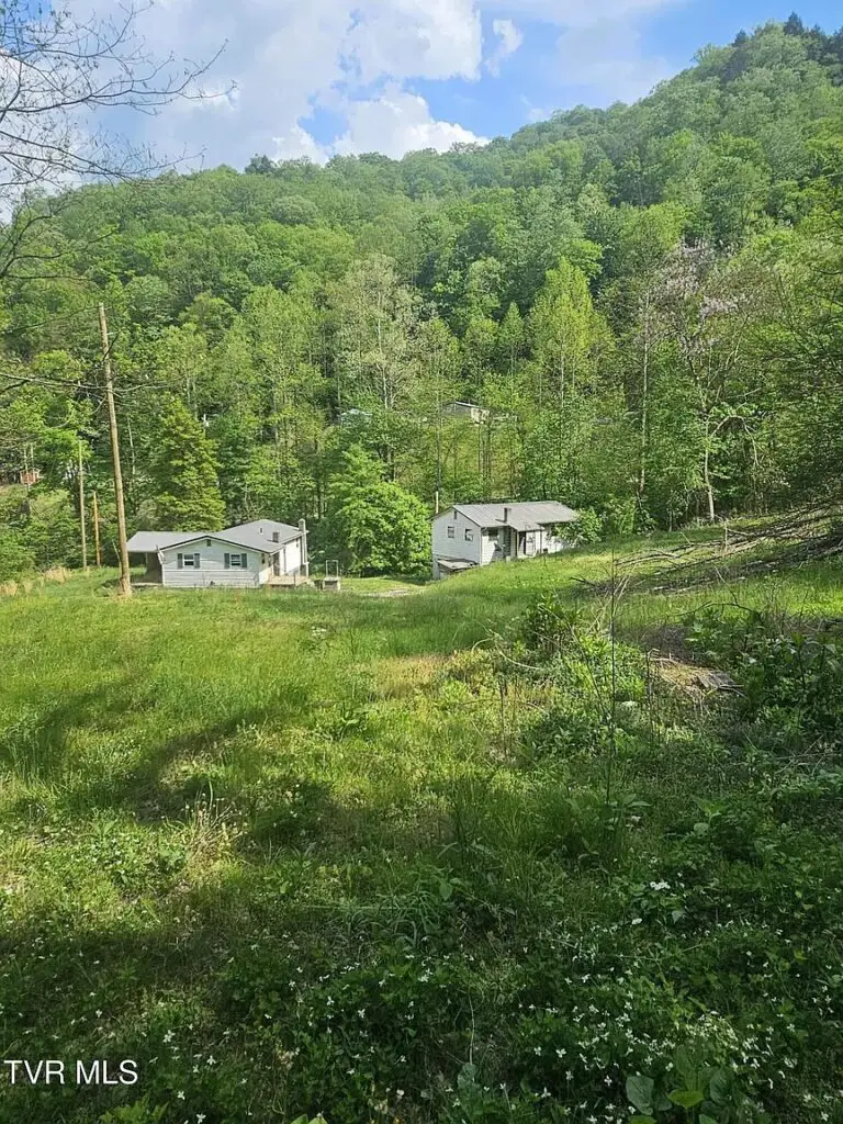 110 Acres with Home and Apartment in Big Rock, Virginia