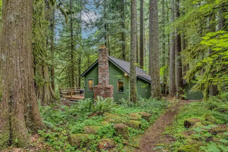 Secluded 1930s Knotty Pine Cabin in Rhododendron, Oregon For $375K