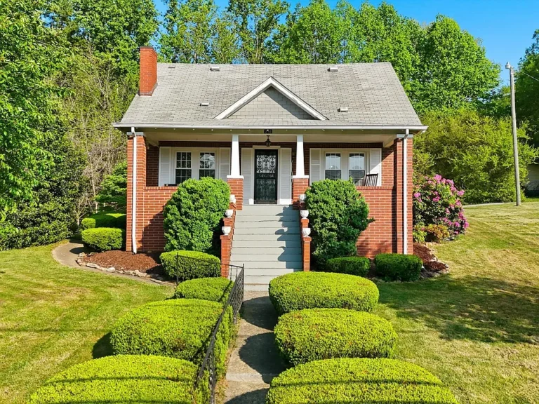 Pretty mountain views! 4 bedrooms on nearly an acre in Virginia. $245,000.