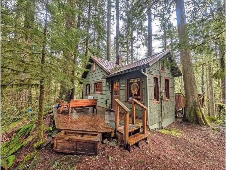 Missed opportunity! Check the wooden floors! Circa 1930 mountain cabin in Oregon.
