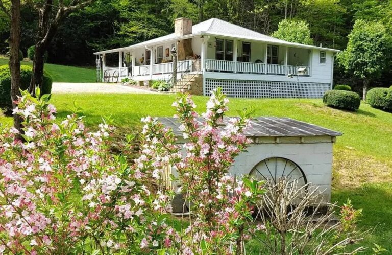 $439,000! The perfect setting! 1911 cozy house in North Carolina.