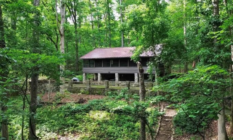 Love the area! $196,000! Circa 1937 cabin on over four acres in Arkansas.